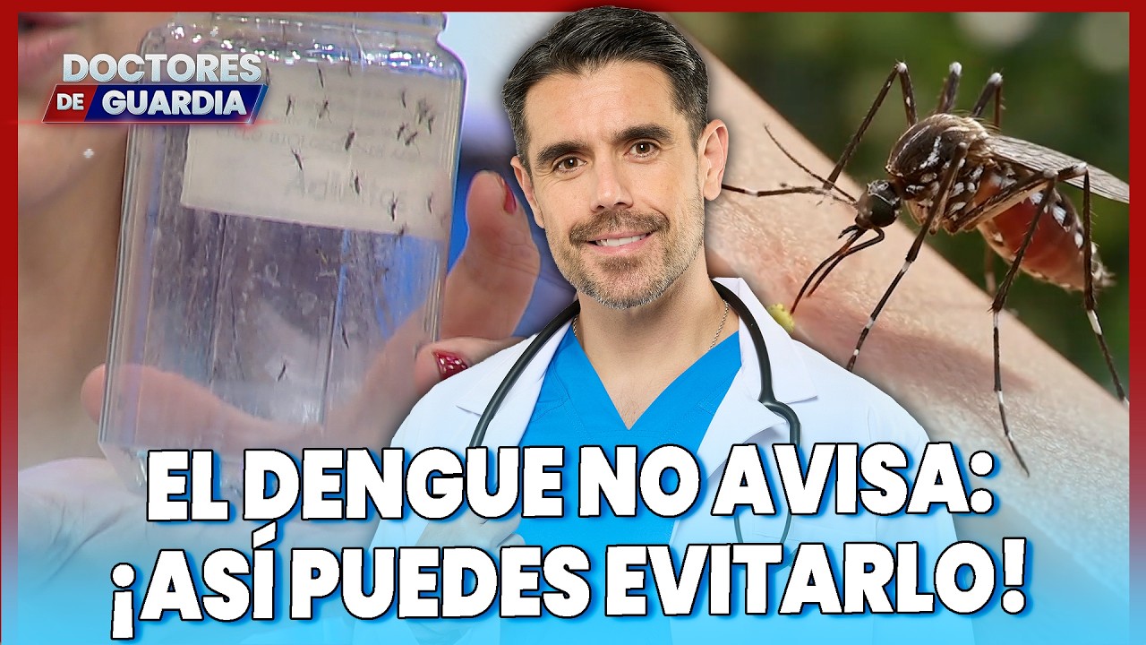 Dengue en Per&uacute;: lo que debes saber para protegerte | Doctores De Guardia
