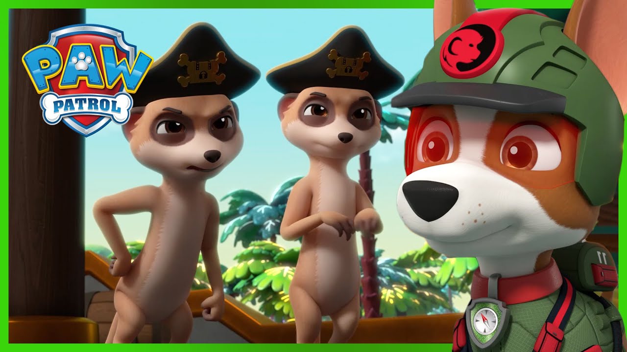 Jungle Pups: Pups Save the Meerkat Pirates! - PAW Patrol Episode - Cartoons for Kids