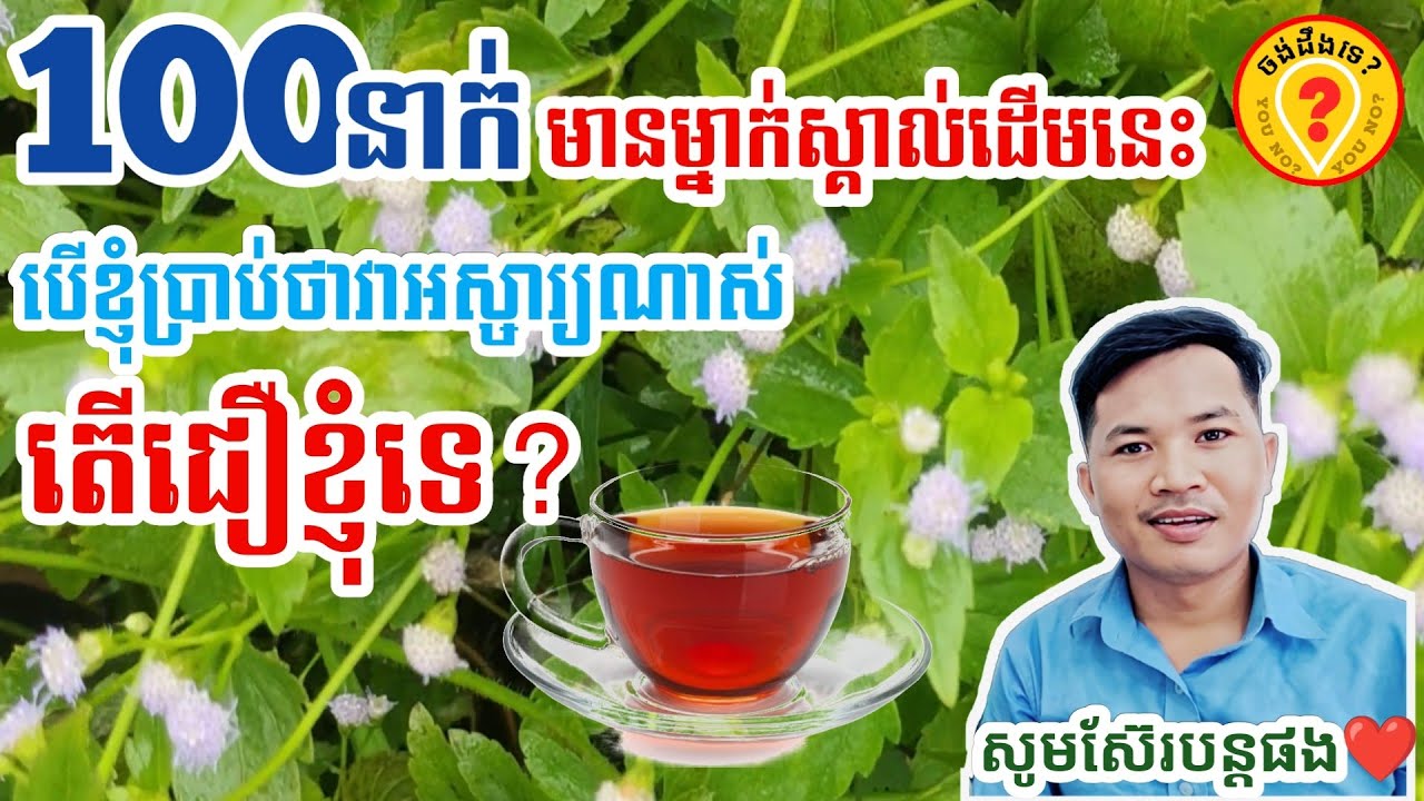 Amazing Health benefits of Khmer Medical Plant  រុក្ខជាតិពិសេសមិនគួរមើលរំលង