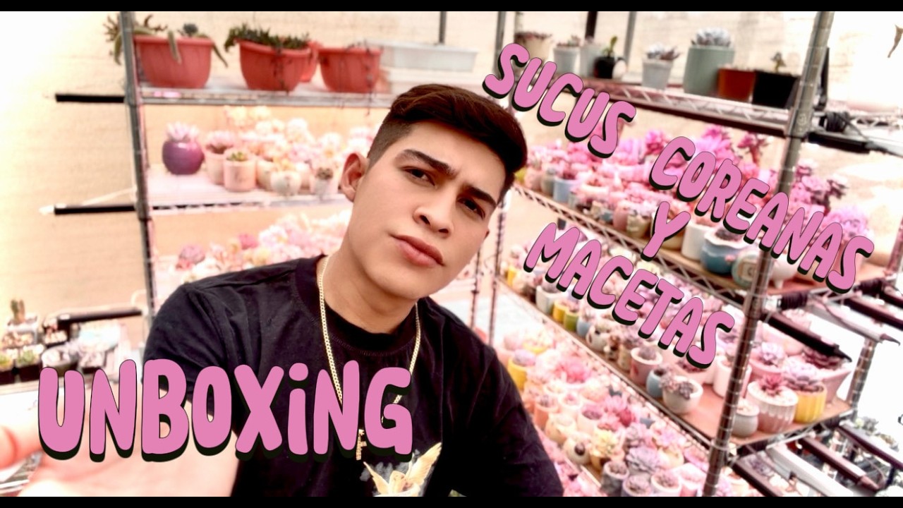 UNBOXING SUCULENTAS COREANAS Y MACETAS.