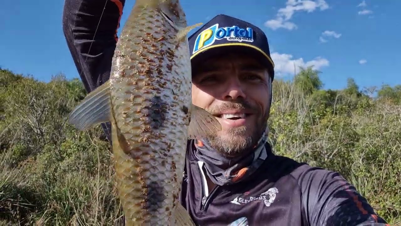 VOLTEI NO RIO DAS SUCURIS, SÓ PEGUEI PIAUS GIGANTESCOS!!! #PESCA #PESCARIA #OSGLEBEIROS
