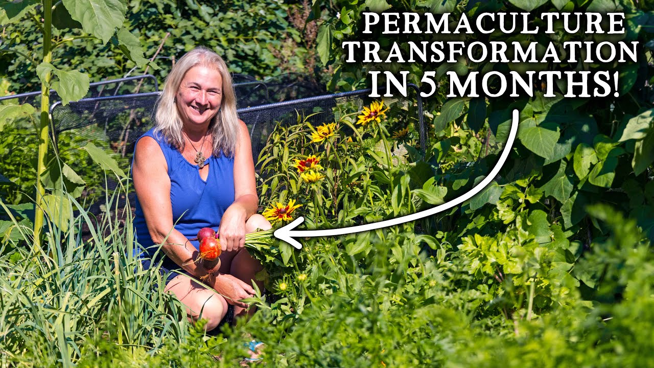 From Lawn to No Dig Abundance in 5 MONTHS | NEW Productive Kitchen Garden for Minimal Effort