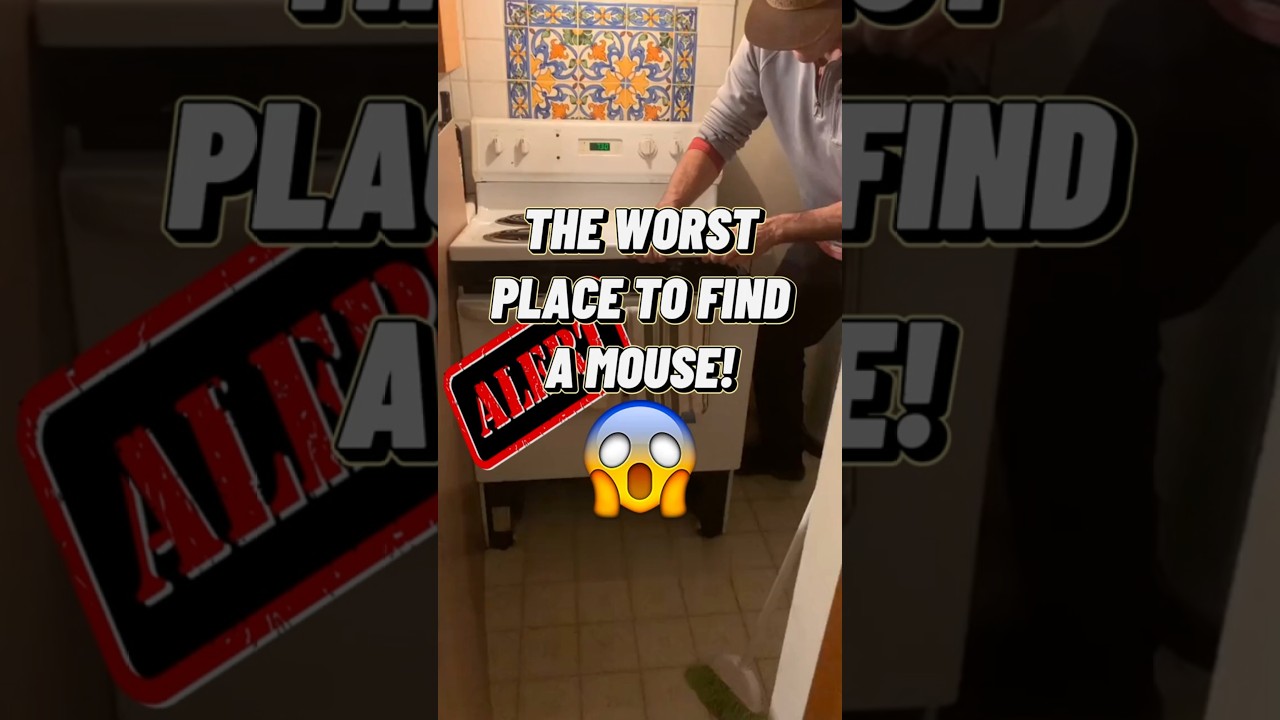 🐭Getting rid of mice or rats in your stove? 🚫Don't do THIS | Edmonton pest control