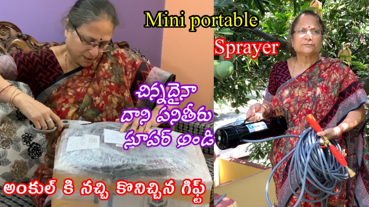 Mini portable Sprayer బరువు తక్కువ దాని పనితీరు సూపర్ అండి