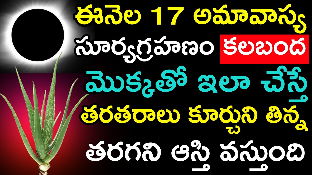 ఈనెల 17 అమావాస్య సూర్యగ్రహణం కలబంద మొక్కతో ఇలా చేస్తే తరతరాలు కూర్చుని తిన్న తరగని ఆస్తి వస్తుంది