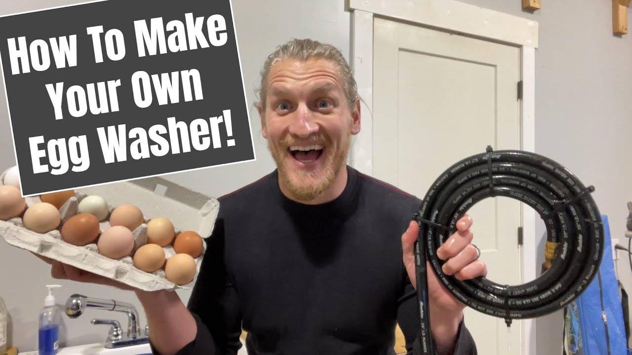 DIY Egg Washer For Tough To Wash Eggs!