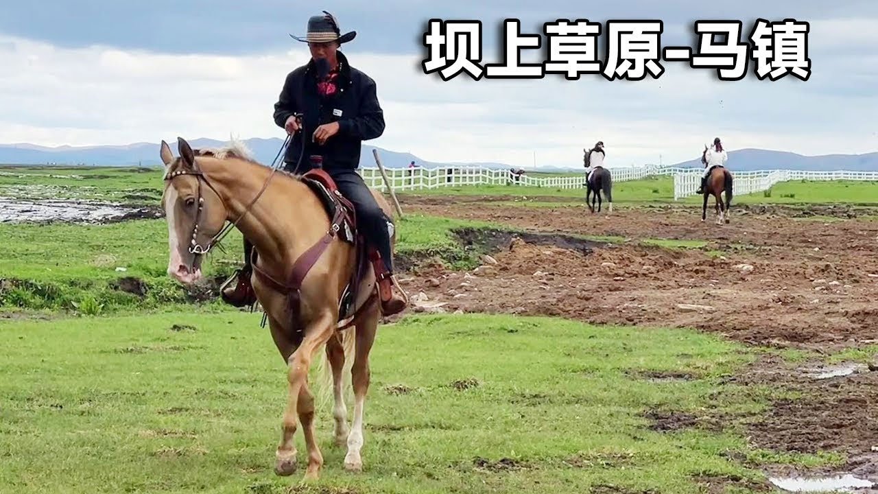 避暑之旅坝上草原的大滩镇！这里被称为马镇，去村里看赛马比赛被草原魅力所吸引！【行走世界的北京老刘】
