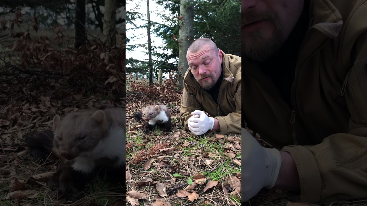 Ud i Naturen med Søren. Husmår