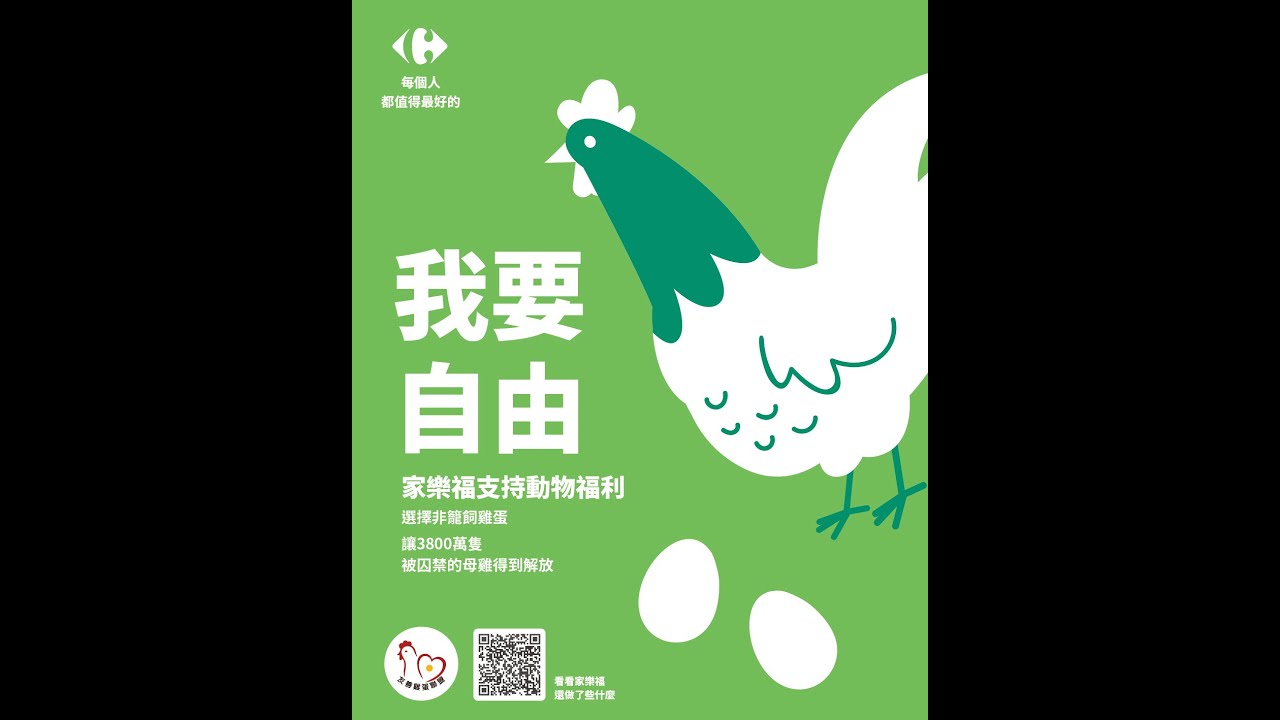 家樂福【非籠飼雞蛋】家樂福文教基金會 不正常超市 解放格子龍雞