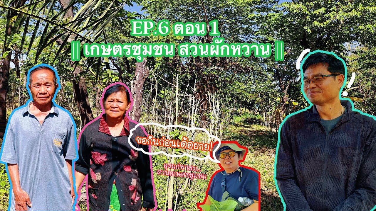 Ep.6/1 ลุงแก่พาชม สวนผักหวาน || เกษตรชุมชน เกษตรผสมผสาน || บ.หนองโก ต.ก้านเหลือง อ.แวงน้อย จ.ขอนแก่น