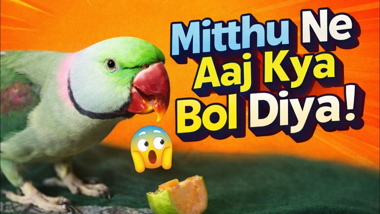 Mithu Ne aaj kya bol diya #Viral #shorts #video 