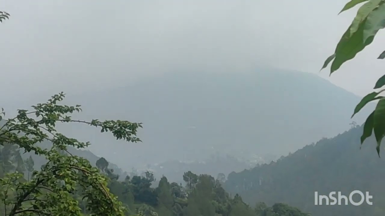 🍄&zwj;🟫 Nature lover-Vlog 6