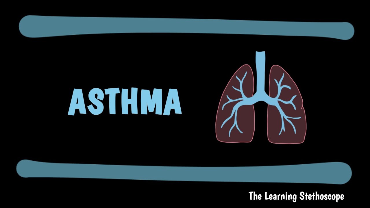 Asthma Explained - Causes, Pathophysiology, Symptoms, Triggers, Treatment | The Learning Stethoscope