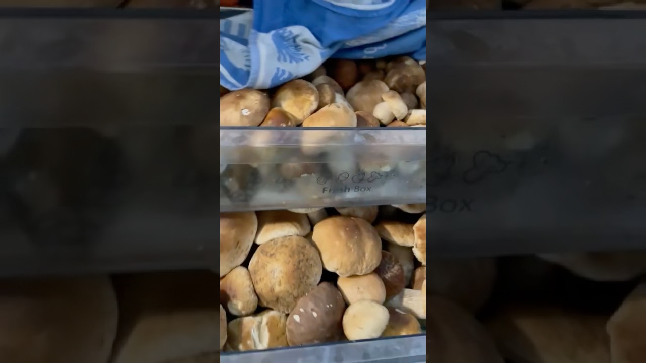 Colazione con porcino #funghiporcini #funghi #porcini #porcino