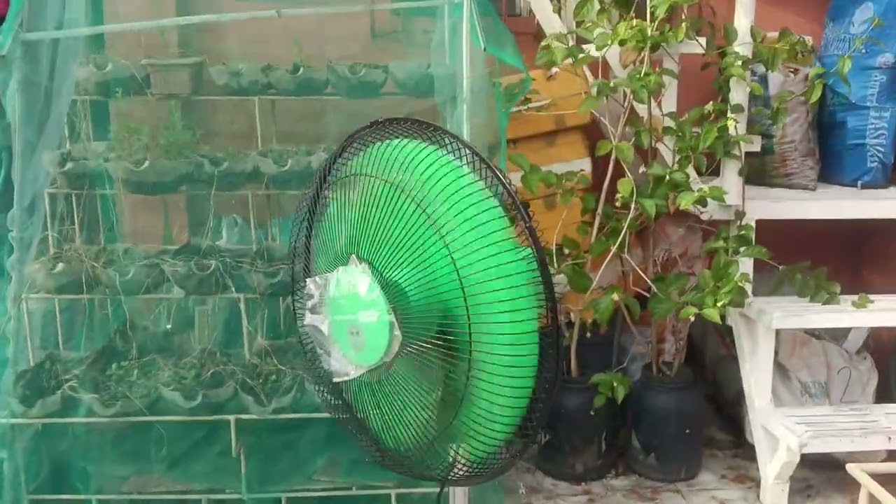 (Xtreme home)Mitsu tech stand fan