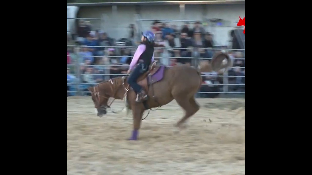 Bronc of a time at Branxholme Rodeo 2026