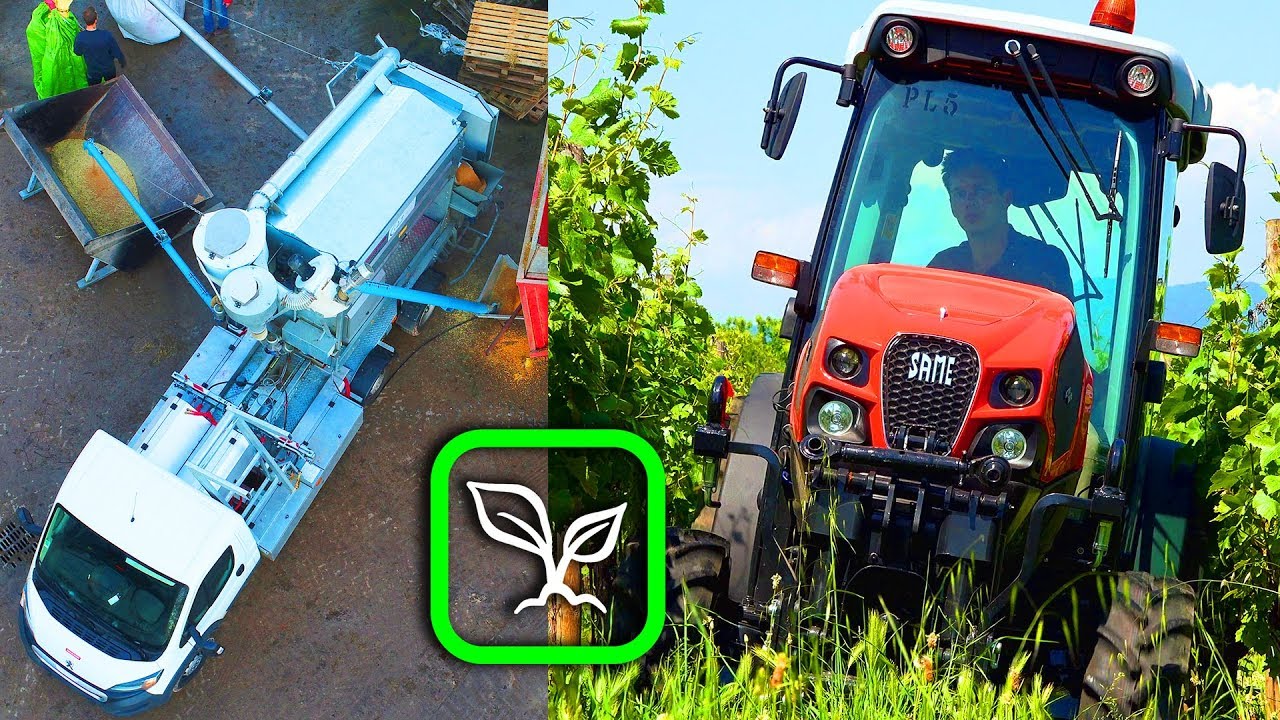 AgriAGGIORNA N° 5: SELEZIONATURA e CONCIA SEMENTI: I VANTAGGI | TEST MACCHINA SAME 115 ACTIVE DRIVE