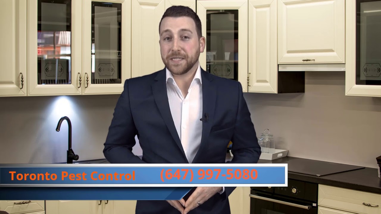 Premier Choice For Pest Control - Affordable Pest Control Toronto | Get Free Pest Inspection