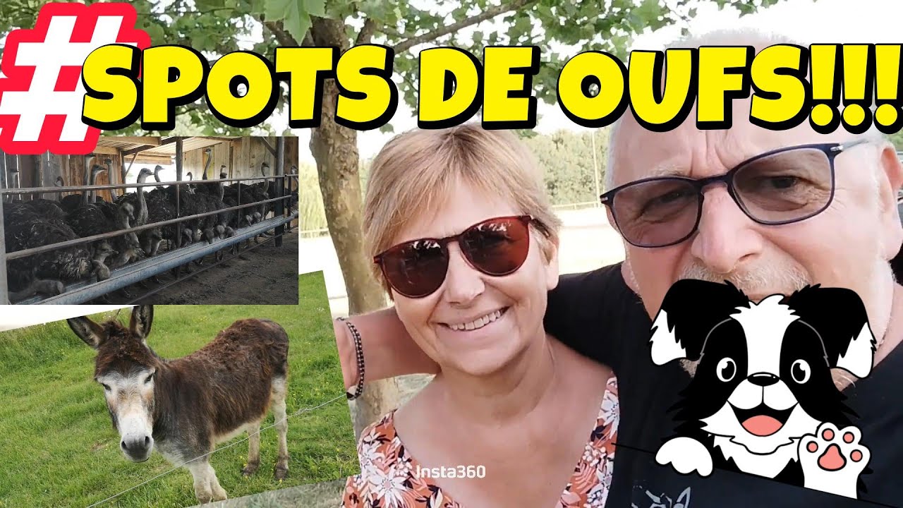 #29#SPOTS DE OUFFFS!!!#VANLIFE#CAMPING CAR