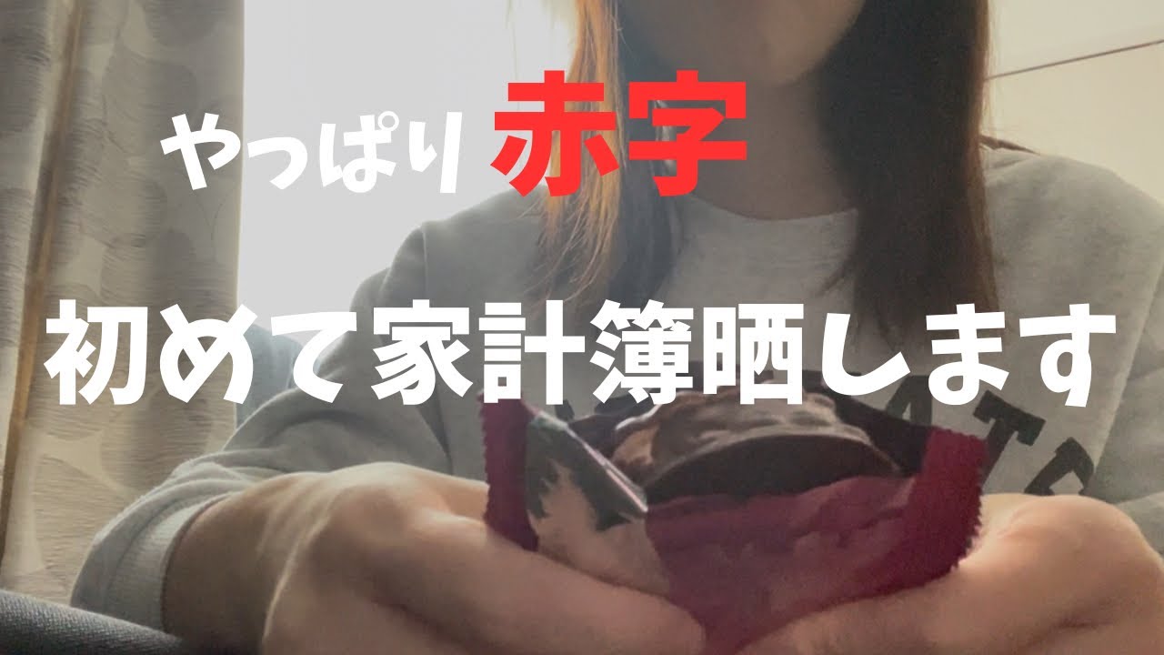 【やっぱり赤字】我が家のお金の流れを計算してみました💸