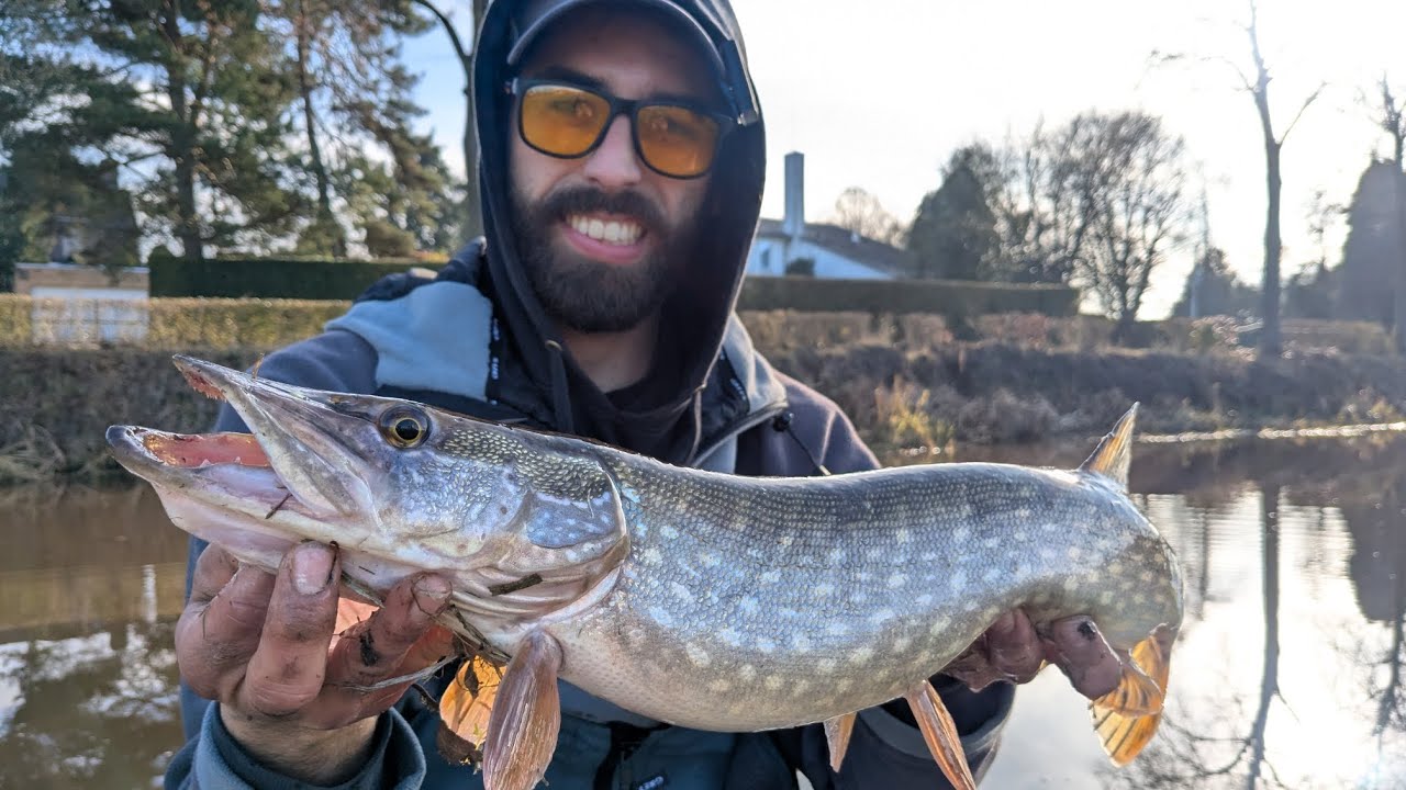 Tipps und Tricks f&uuml;r Polder-Hechte im Winter: Mit Big-Baits und Baitcast in Holland unterwegs 🥶🔥