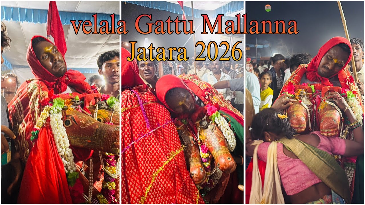 Velal Gattu Mallanna jatara 2026 Shivaratri special video 