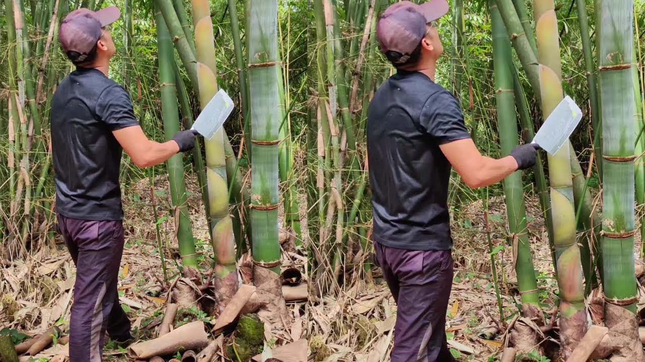 This video has a hidden storyline. If you don't believe me#Sannong #Mazhusun #Decompression