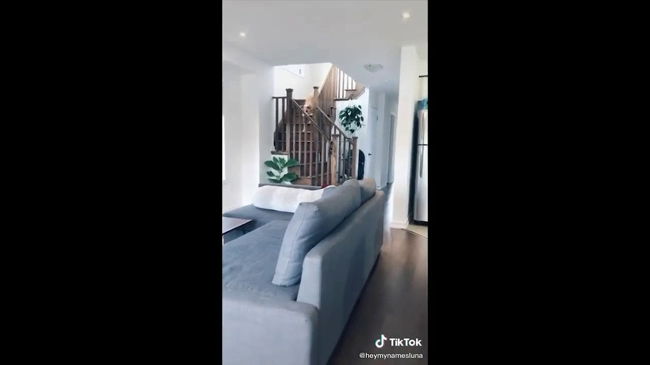 animals funny, jokes,funy videos,vihilu