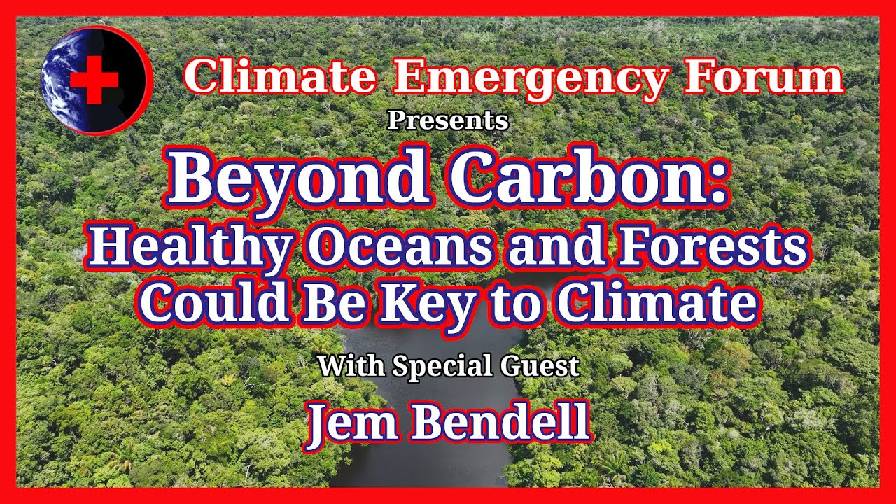 Beyond Carbon: Healthy Oceans and Forests Could Be Key to Climate