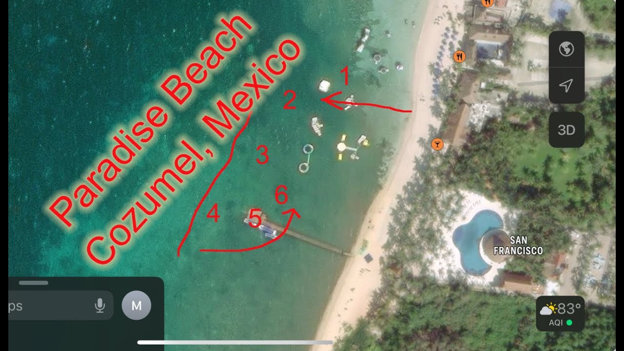 Cruise Port Snorkeling - Cozumel, Mexico - Paradise Beach