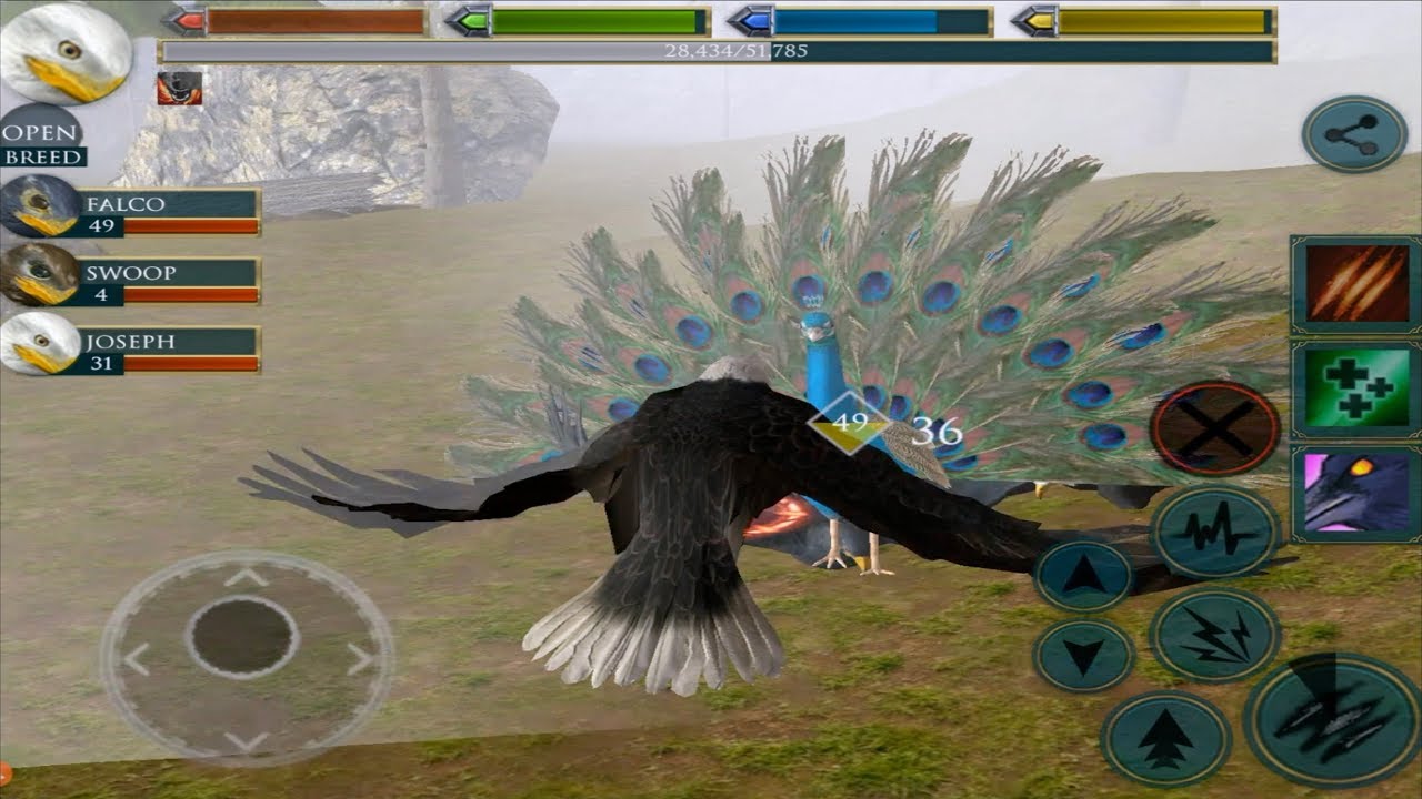 🦅Furious Eagle VS 🐢Angry Snapping Turtle and Peacock King Boss Fight, Ultimate Bird Simulator,