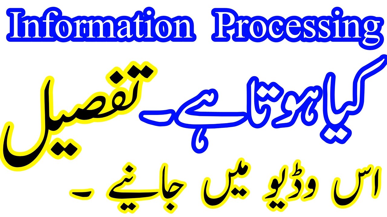 What is Information Processing