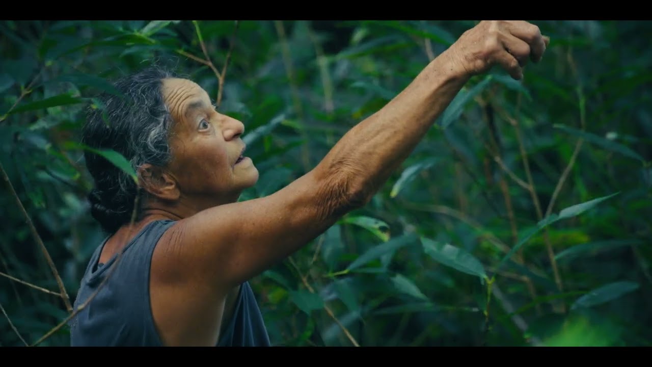 The Canoe Bug Hypothesis (Trailer)