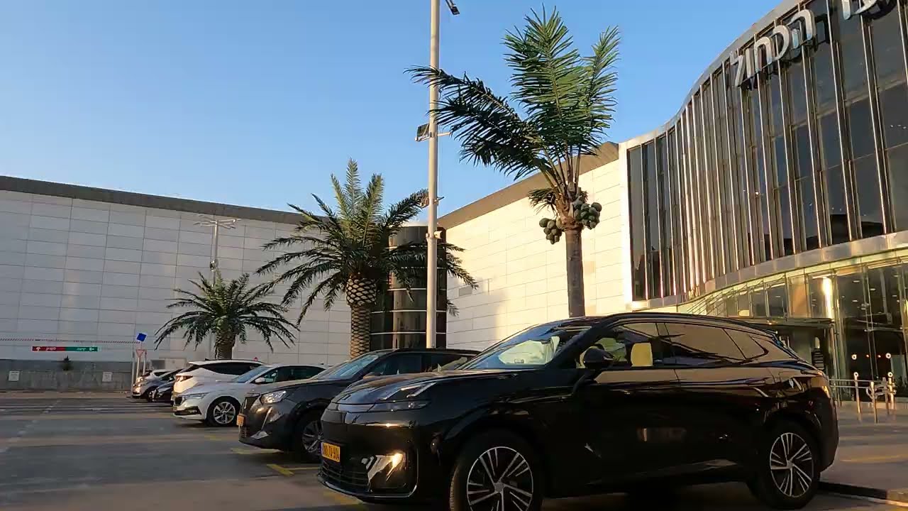 זיוף מעצבן ומזיק