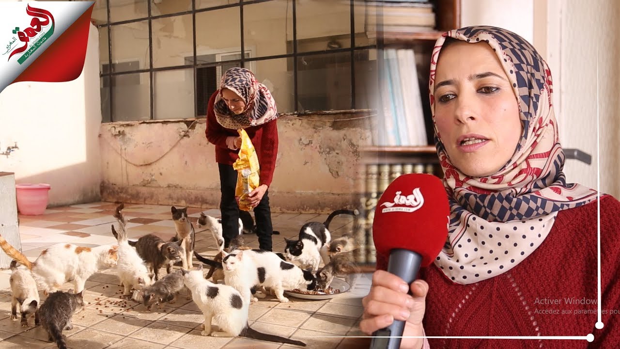 حبيبة..  مغربية وهبت حياتها للدفاع عن القطط وإيوائهم في منزلها