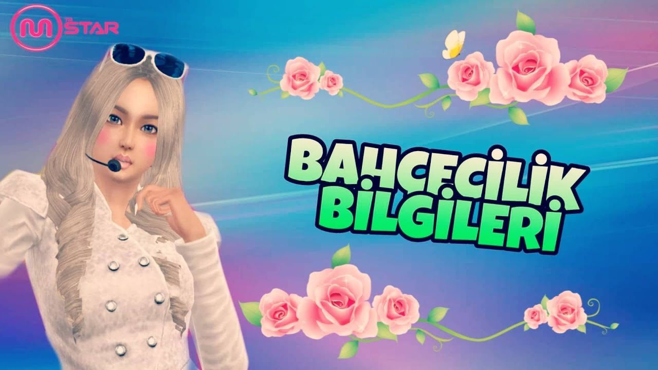 MStar TR Kedi Uşak, Çiftçi Chubby ve Dalgıç Meow ne işe yarar?