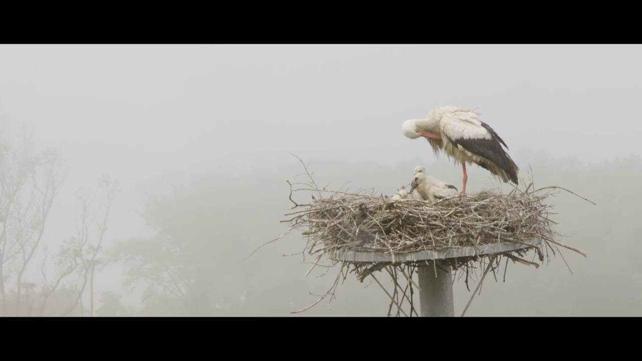 Het Provinciaal Domein over het nieuwe Zwin Natuur Park