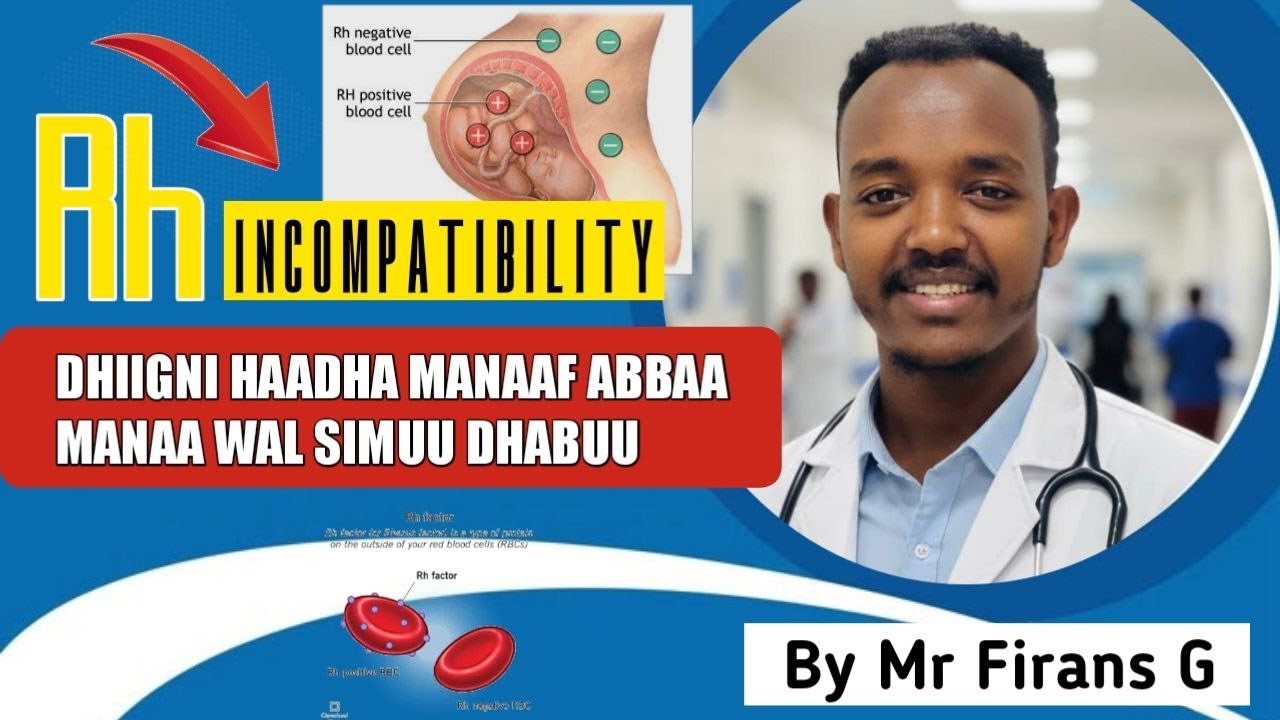 Rh Incompatibility In Afaan Oromoo By Mr Firans