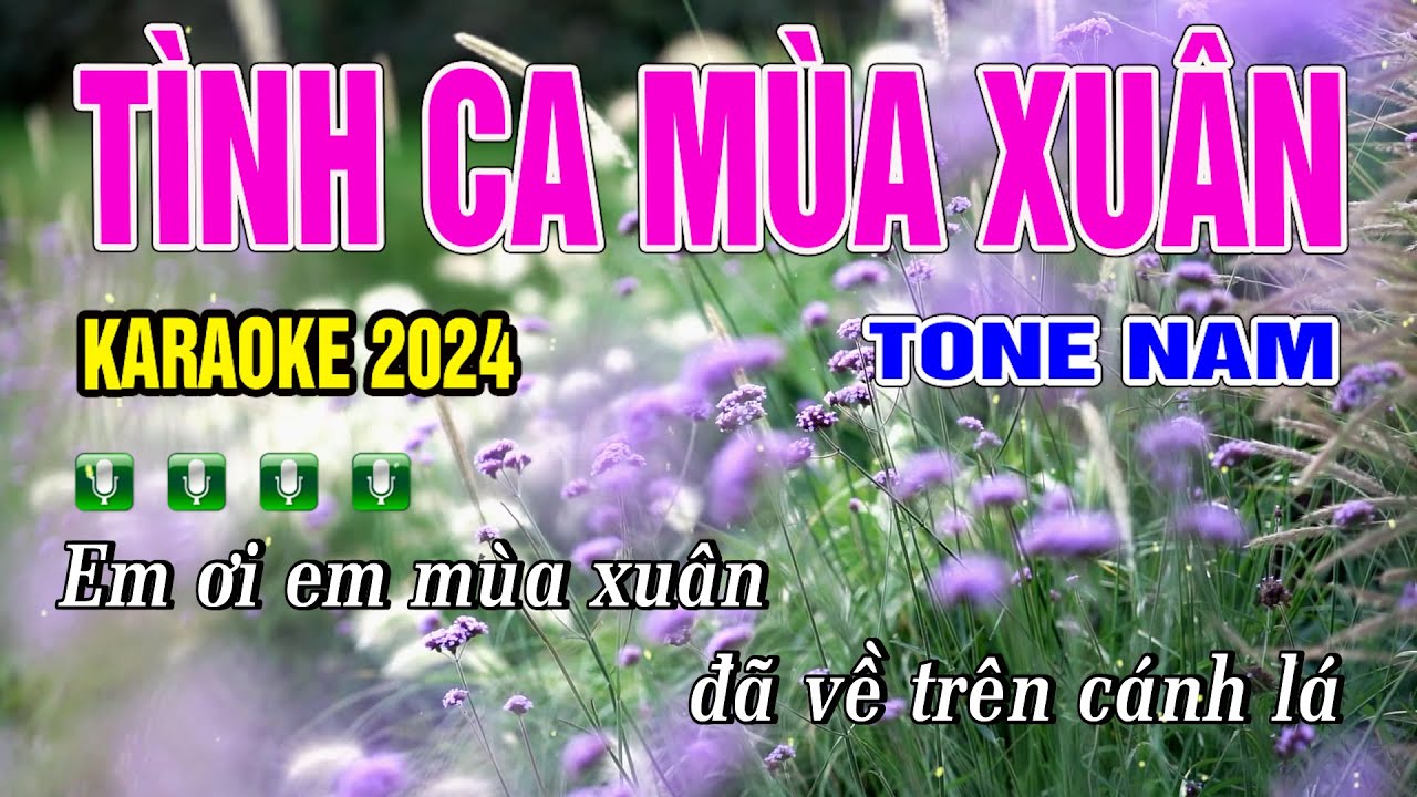TÌNH CA MÙA XUÂN KARAOKE TONE NAM | BEAT PHỐI MỚI