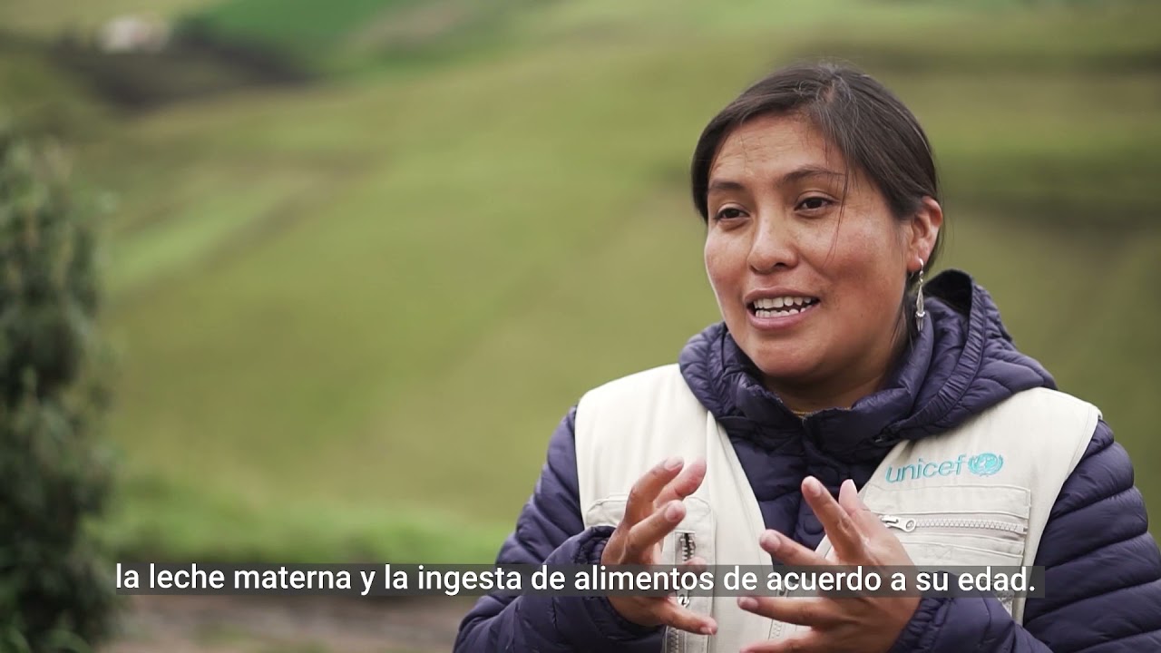 Desnutrición crónica infantil Ecuador