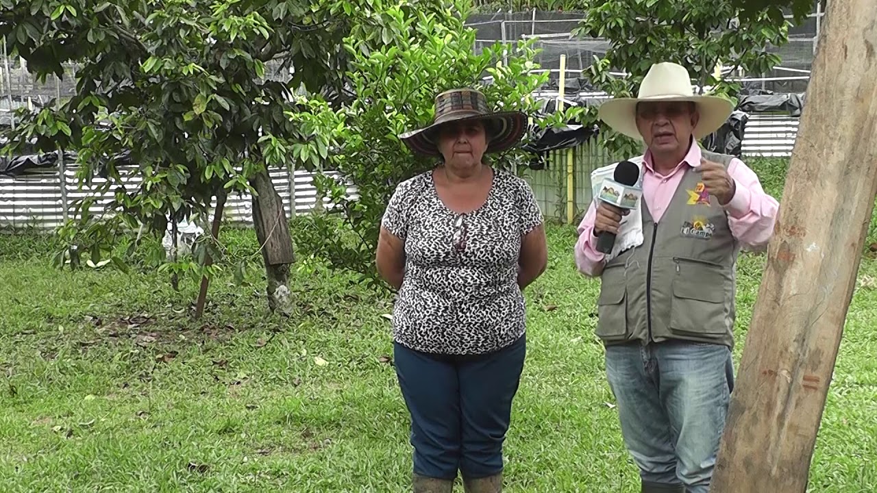 Economía en el cultivo de la tilapia