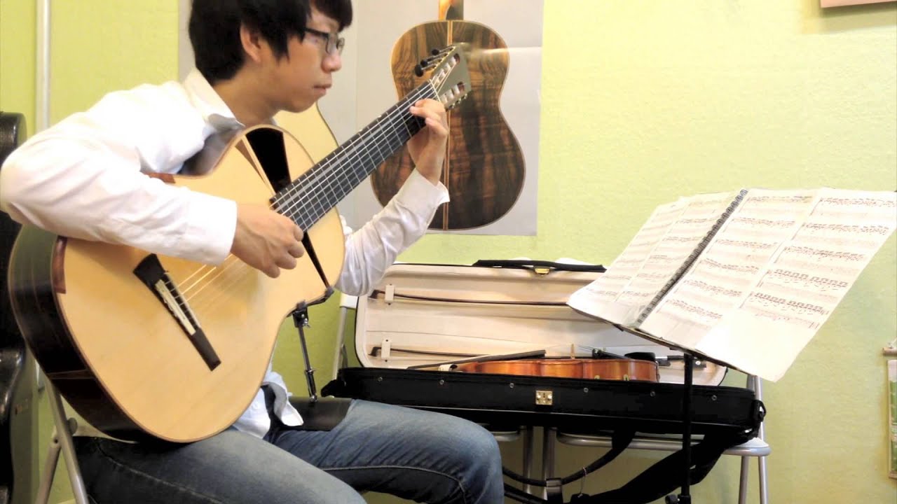 Variations on the Kanon(Canon, 캐논변주곡), Guitar Cover