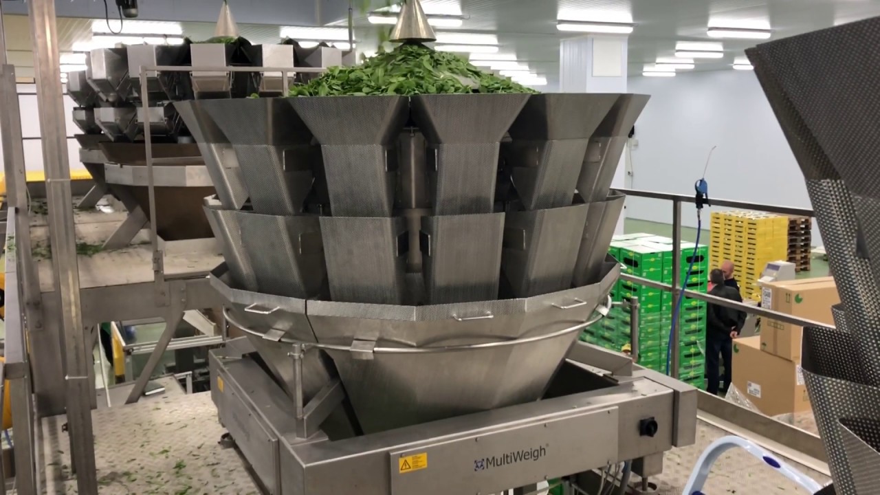 Flowpack Salade Barquette Haute cadence - GAMACO