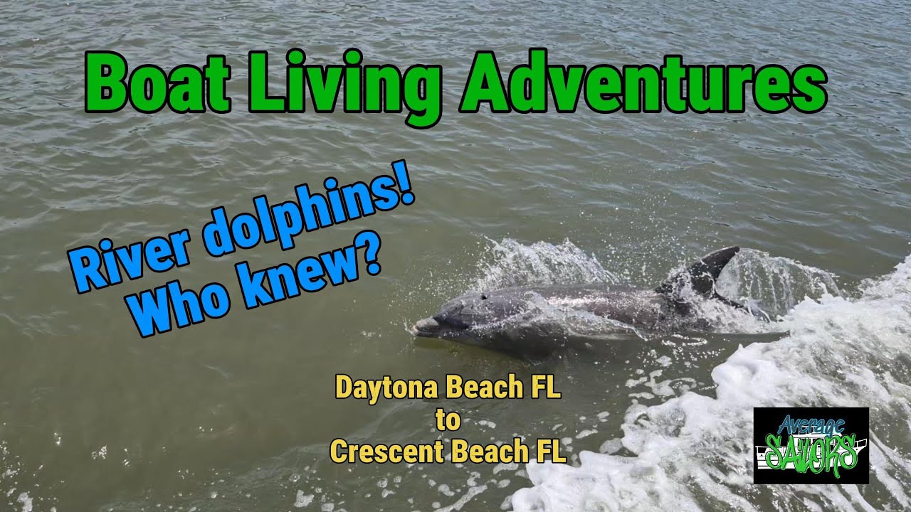 Livin on a boat: River dolphins! Who knew? | 25.9