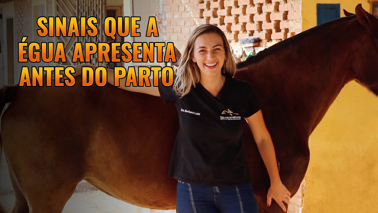 🏇 Sinais Que a Égua Apresenta Antes do Parto