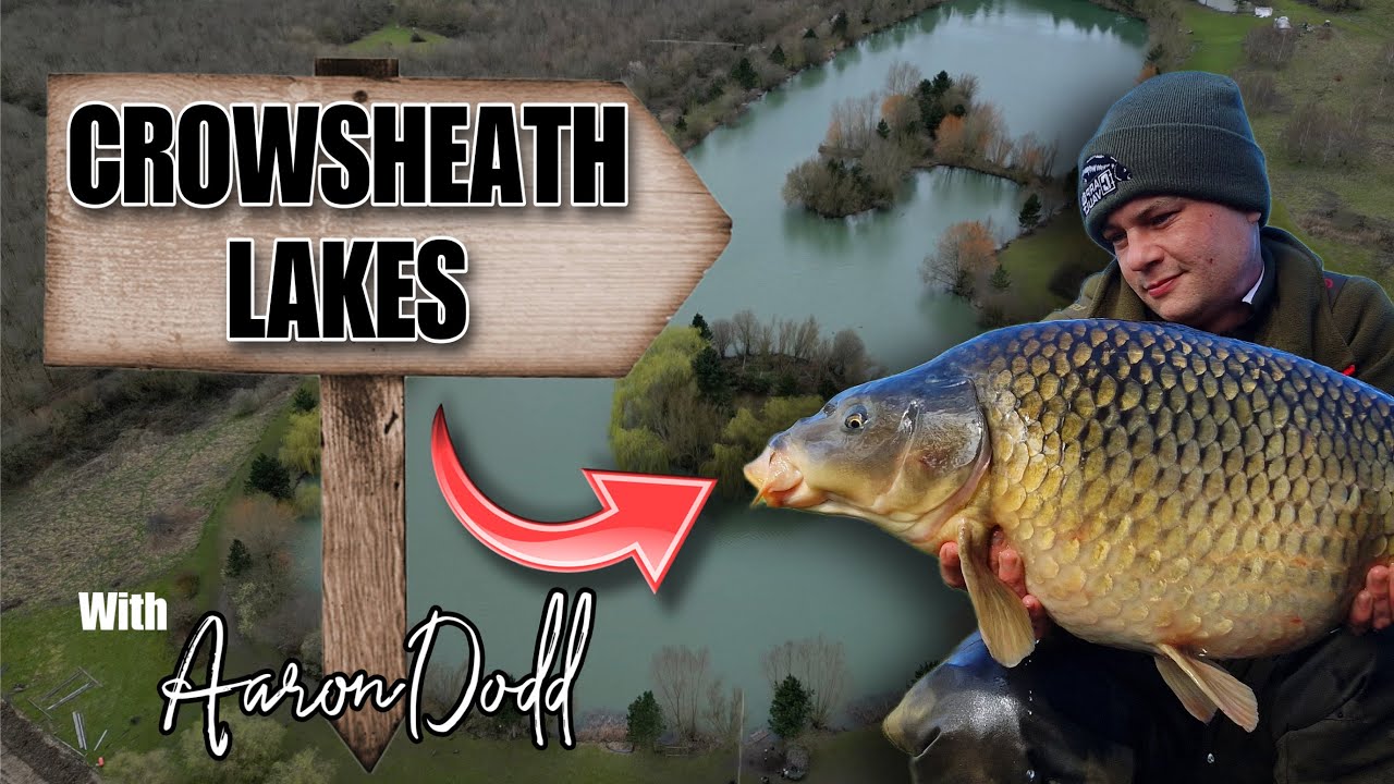 CARP FISHING - Crowsheath Lakes | Essex with Aaron Dodd