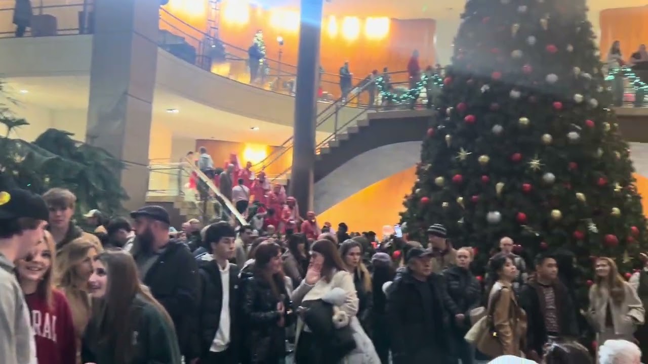 Tree lighting with Santa, tech notes and tips