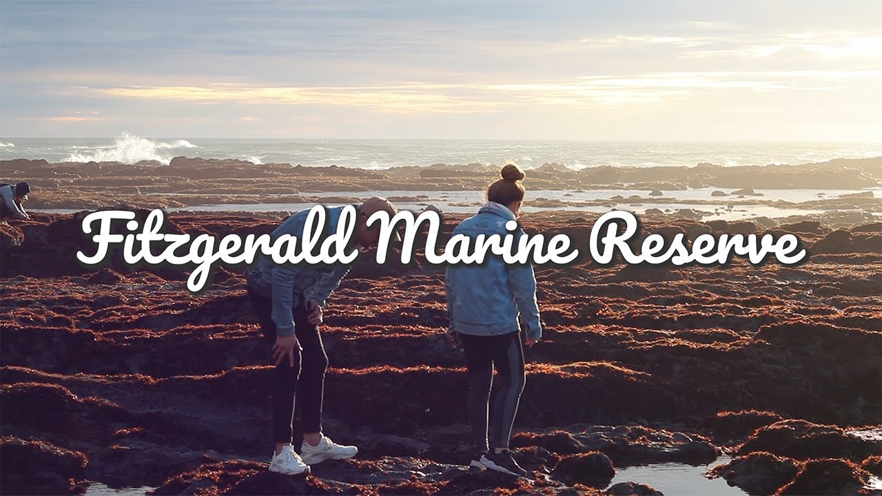 Fitzgerald Marine Reserve | Exploring with Ryan