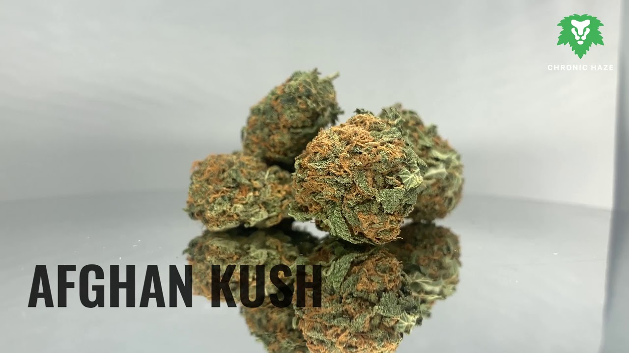 Chronic Haze - Afghan Kush