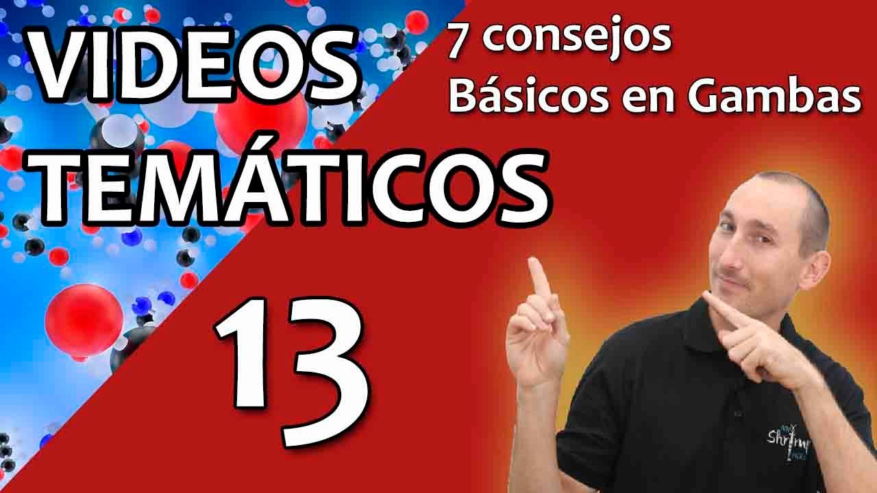 GAMBAS · 7 Consejos para tu gambario 🦐
